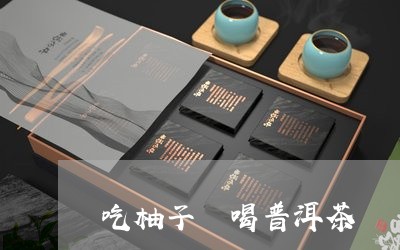 吃柚子 喝普洱茶/2023041061917